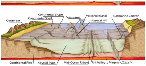 Exploring The Depths: Ocean Floor Relief Feature - PWOnlyIAS