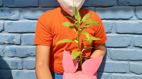 I E Juan José Farfán Celebra La Semana Del Medio Ambiente Noticias