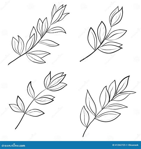 Leaves Contours Stock Vector Illustration Of Nature 41262725