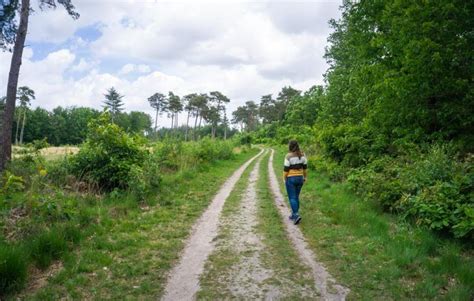 Wandelingen In Noord Brabant De Mooiste Wandelroutes Reisgenie Artofit