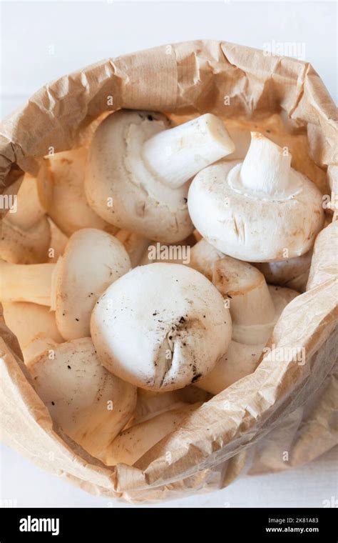 Closed Cup Mushrooms In A Brown Paper Bag Eco Friendly Recycling