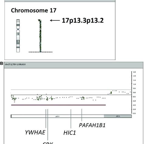 Array Comparative Genomic Hybridization Analysis On The Dna Extracted