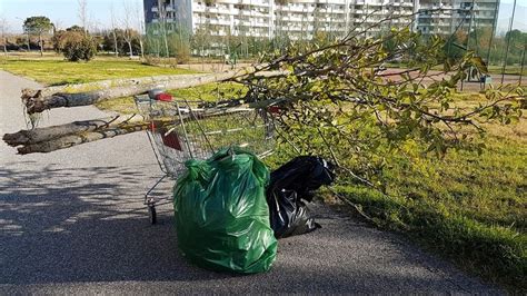 Vandali Al Parco Delle Sabine Alberi Tagliati E Sradicati