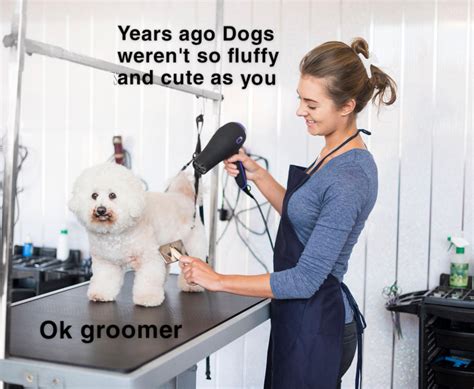 Why everyone is talking about these mature womens haircuts 12