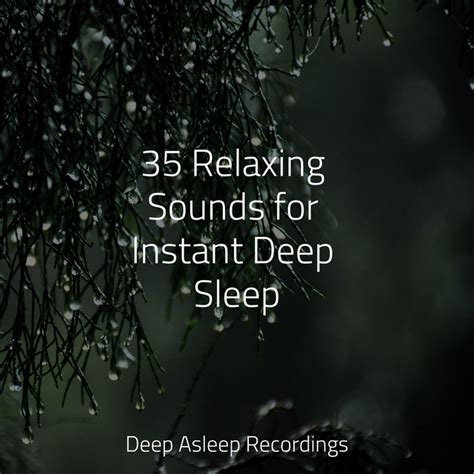 35 Relaxing Sounds For Instant Deep Sleep Album By Massage Tribe