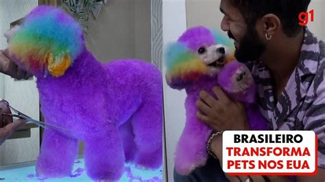 Brazilian Man Turns Pets Into Magical Creatures In Us Pets