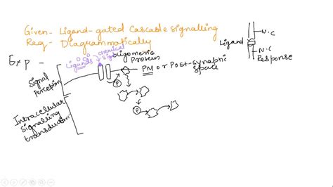 Solved Draw And Label The Two Isomers Of The Tris Ethylenediamine Iron