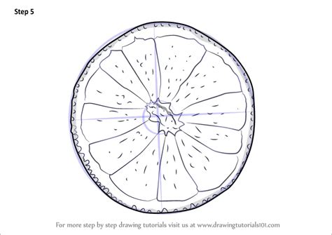 How to Draw an Orange Slice (Fruits) Step by Step | DrawingTutorials101.com