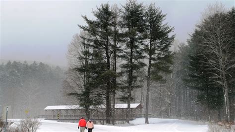 The Centennial 7 Hiking Challenge at Allegany State Park | Enchanted ...