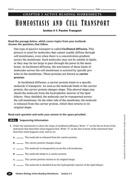 Homeostasis And Cell Transport Skills Worksheet Answers Ivuyteq