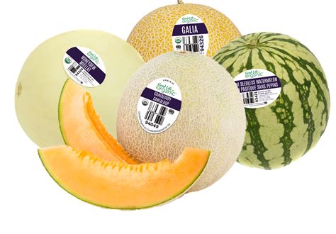 Melon Cutouts Fresh Melons Fruit Slice Transparent Png