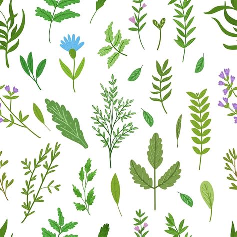 Premium Vector Wild Herbs Seamless Pattern Cartoon Leaves Brunches