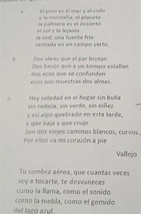 reconoce las figuras literaria y escríbelo al lado derecho Brainly lat