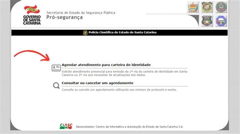 Como Fazer Identidade Online Veja Sites Oficiais Para Agendamento