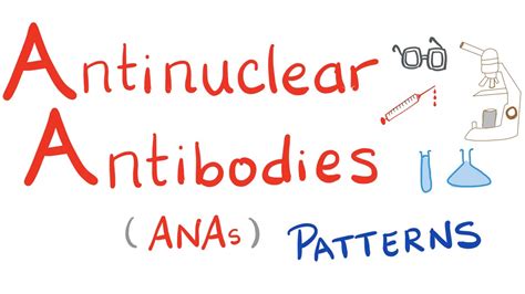 Antinuclear Antibodies Ana And Their Patterns 🧪 Youtube