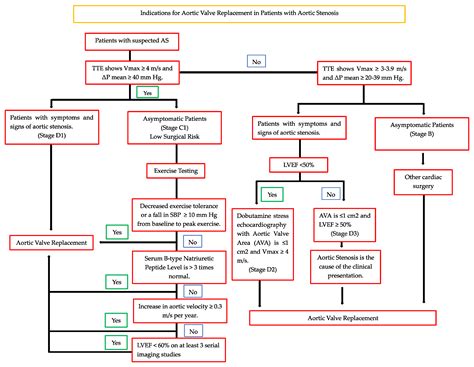 Jcdd Free Full Text Aortic Stenosis Phenotypes And Precision