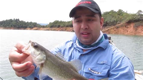 Liberacion De Black Bass Represa Guatape El Pe Ol Youtube