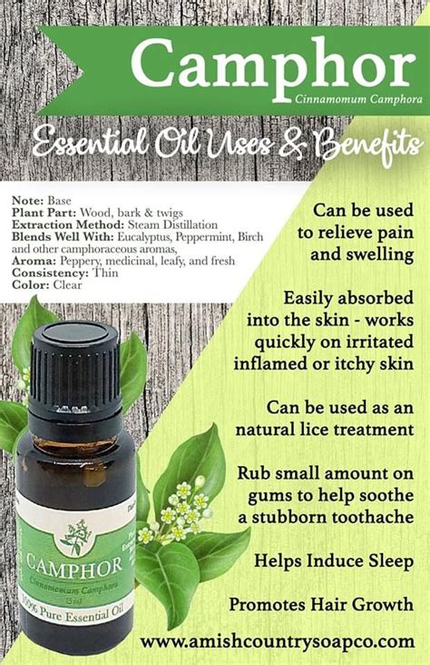 Camphor Essential Oil Camphor Essential Oil Essential Oil Spray