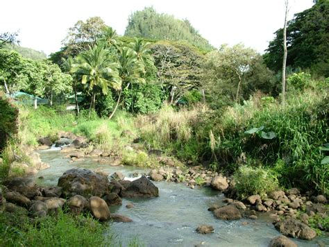 Michael O. Varhola: Waimea Valley (Oahu, Hawaii)