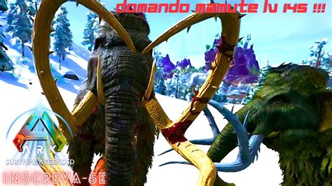 Domando Mamute Lv Ark Survival Ascended The Island Gameplay