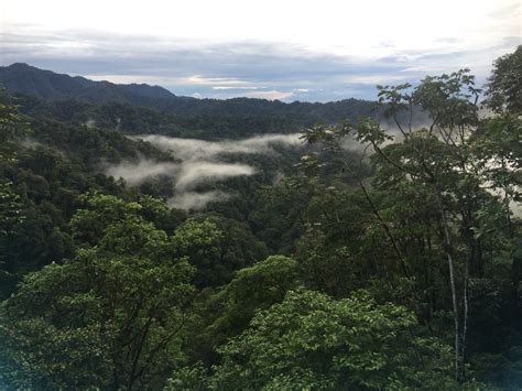 Gabriela Montejo-Kovacevich 🇪🇺 (@gmkov) / Twitter