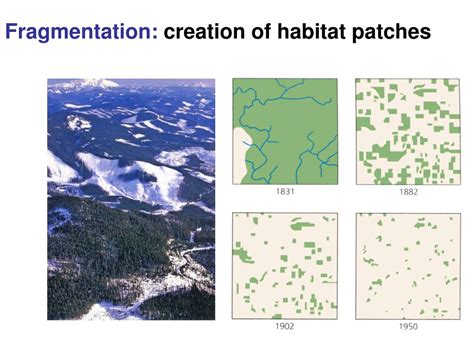 Ppt Landscape Ecology Large Scale Spatial Patterns And Ecological