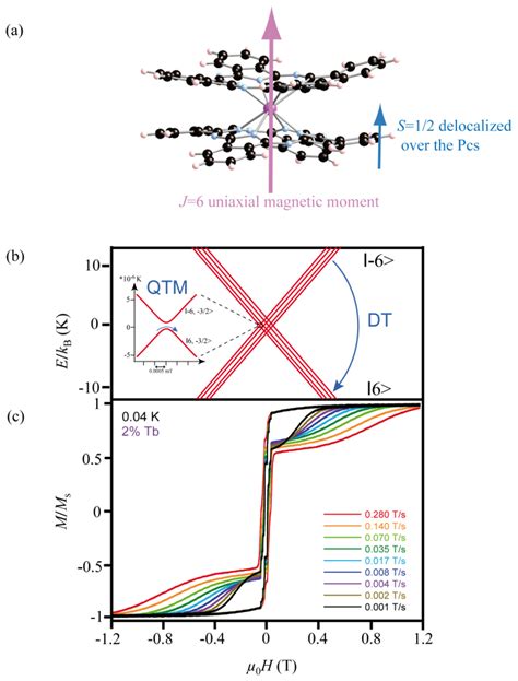 Molecular Quantum Spintronics Supramolecular Spin Valves Based On