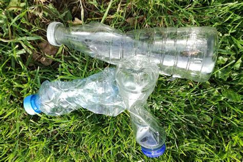 Is Zeewier De Oplossing Voor Ons Plastic Groenvandaag