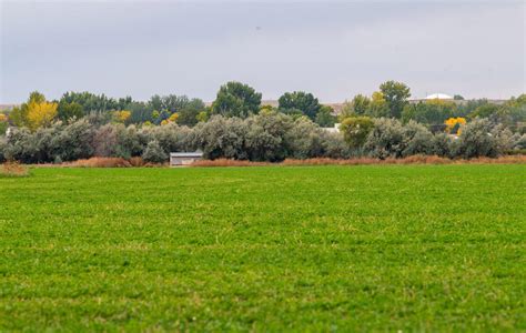 Big Horn River Acreage For Sale In Basin Wy Big Horn County Farm