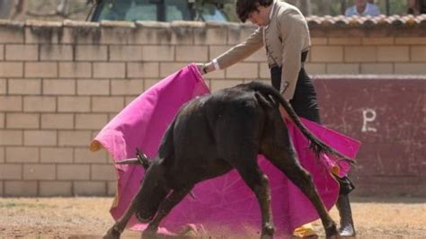 Vuelven Los Toros A Barbastro Este Domingo