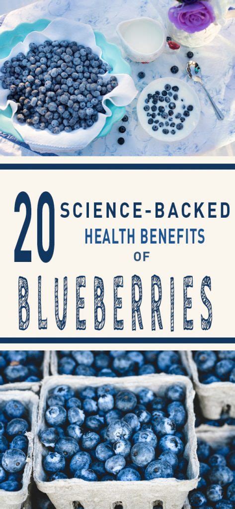 Blueberry Benefits 20 Science Backed Health Benefits Of Blueberries