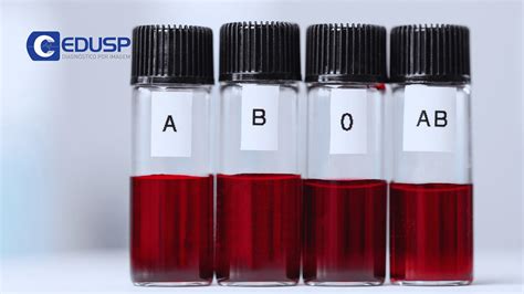 Tabela De Sangue Raros - Tabela Dos Tipos Sanguíneos - FDPLEARN