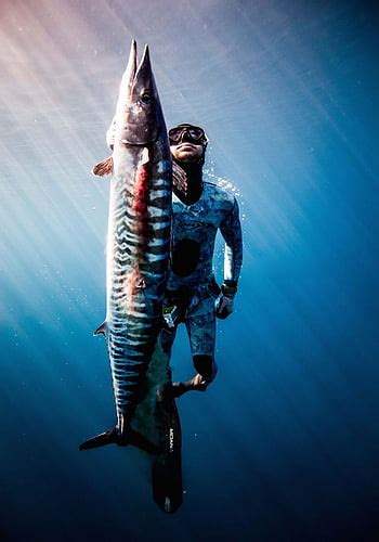 Spearfishing HD Wallpaper Pxfuel