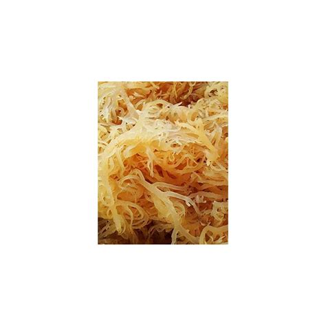 2 Lb Natural Irish Sea Moss Raw Chondrus Crispus Philippines Ubuy