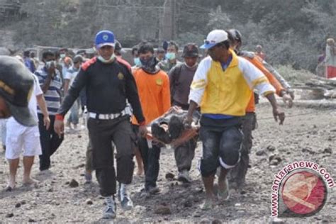 29 Korban Meninggal Akibat Bencana Di Ntt Sebut Bpbd Antara News