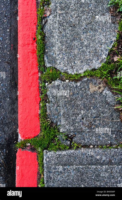 Risse in einem Bürgersteig Moos und Gras wächst durch Ritzen