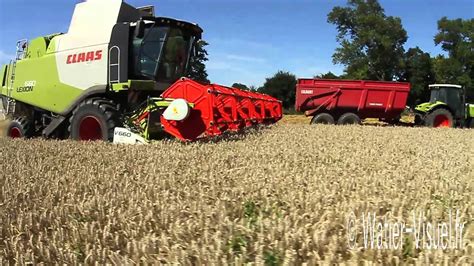 Moisson De Blé Tendre Avec Moissonneuse Class Lexion 660 Youtube