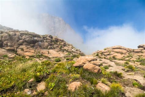 30+ Qwaqwa National Park Stock Photos, Pictures & Royalty-Free Images ...