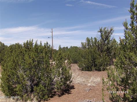 Show Low Navajo County AZ Undeveloped Land Homesites For Sale