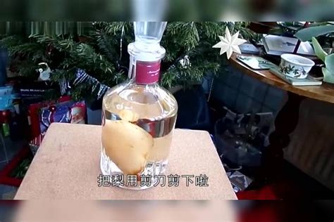 梨子酒你见过吗？那么大的梨怎么完整放进瓶子的？感觉智商被压制瓶子梨子智商