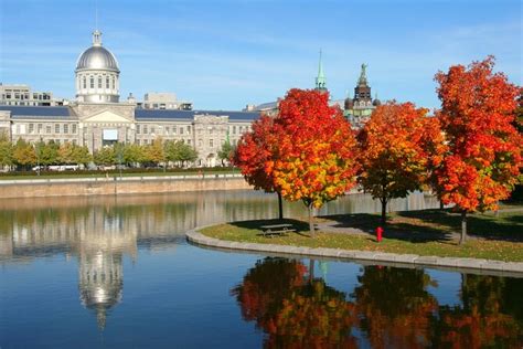 Caccia Al Tesoro Di Montreal E Tour Autoguidato Dei Momenti Salienti