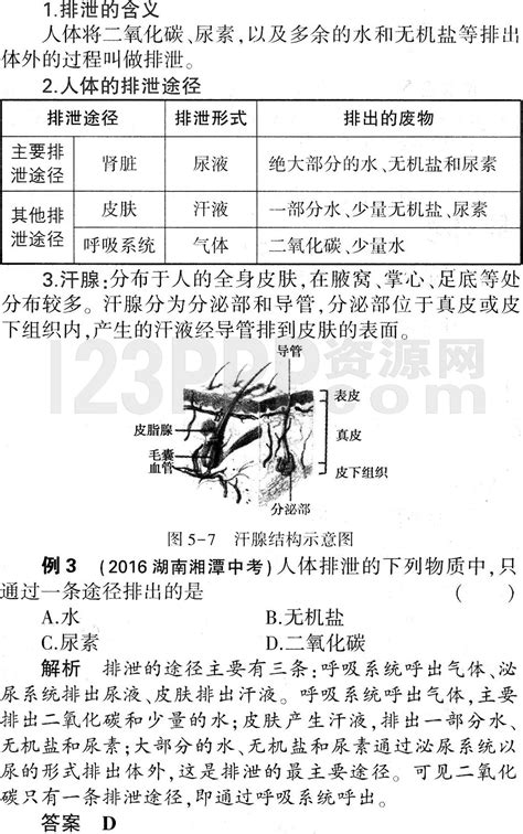 初一生物人教版七年级下册第5章《人体内废物的排出》教材全解 旷野小屋