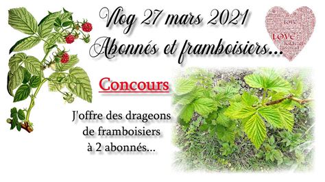 Vlog 27 mars 2021 Abonnés et framboisiers Concours pour gagner des