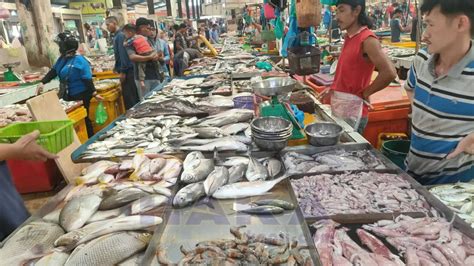 Harga Ikan Di Pasar Bincen Turun Stok Melimpah Pedagang Merugi