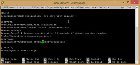 Asp Net Core Web Api Net Core Linux Deployment Code Maze