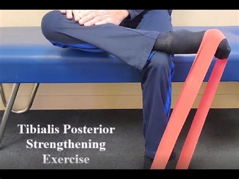 Tibialis Posterior Exercises