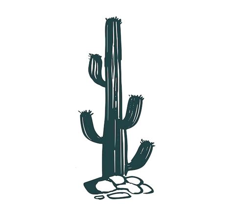 Premium Vector Cactus Set Hand Drawn Illustrations Vector