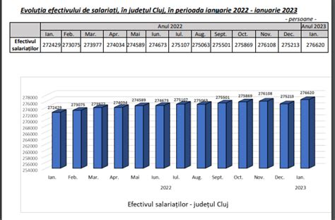 Salariul Mediu Net A Fost Lei N Cluj La Nceputul Anului A