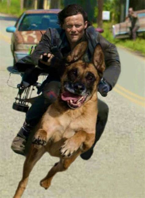 Daryl Dixon Rides Dog Walking Dead Funny The Walking Dead Daryl Dixon