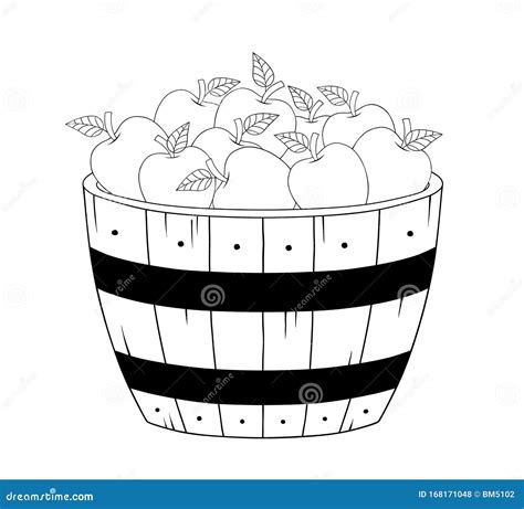 Apples Basket Black And White Illustration Stock Illustration